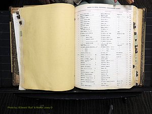 Rockingham Co, NC, Births, 1913-1928 (171).JPG
