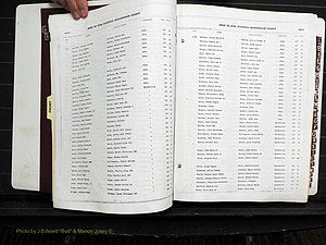 Rockingham Co, NC, Births, 1968-1981 (122).JPG