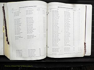 Rockingham Co, NC, Births, 1968-1981 (296).JPG