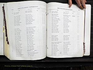 Rockingham Co, NC, Births, 1968-1981 (299).JPG