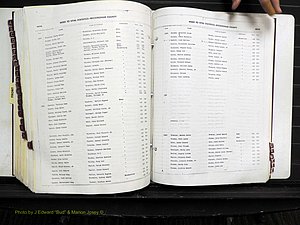 Rockingham Co, NC, Births, 1968-1981 (316).JPG