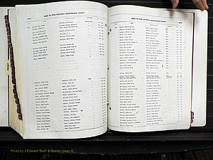 Rockingham Co, NC, Births, 1968-1981 (335).JPG