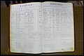 Rutherford Co, NC, Marriages 1871 - 1889 (25).JPG