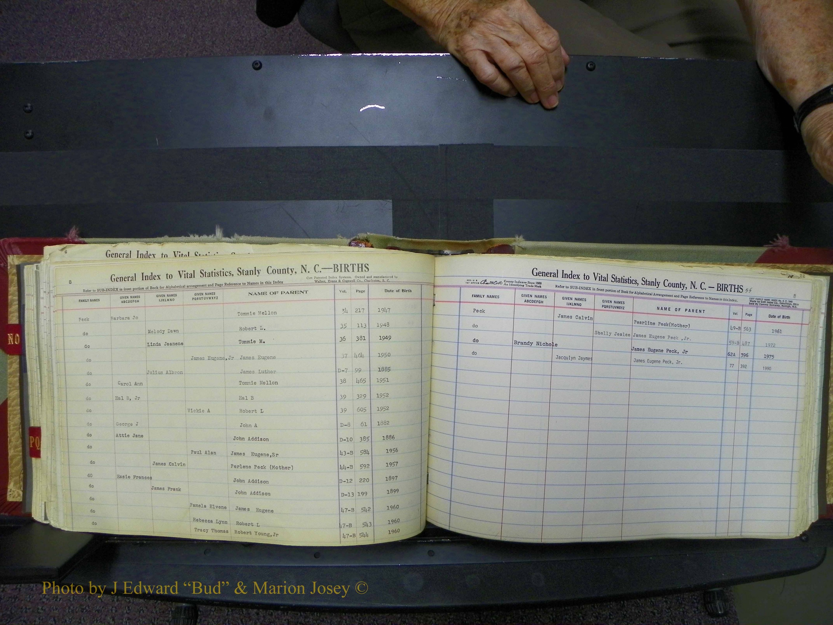 Stanley Co, NC Births, N-Q, 1913-1994 (116).JPG