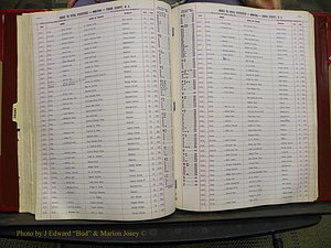 Union Co, NC Births, L-Z, 1913-1937 (95).JPG