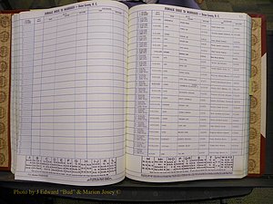 Union Co, NC Marriages Female Index, A-Z, 1980-1993 (112).JPG