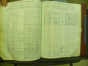 Yancey Births, 1940-1994, Index P, 135a.JPG