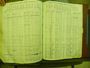 Yancey Births, 1940-1994, Index S, 163.JPG