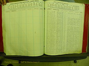 Yancey Co, NC  Delayed Births,  Index P, 117.JPG