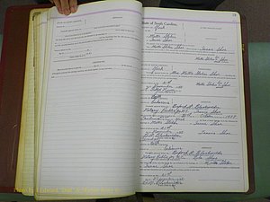 York Co, SC, Marriages, Before 1911 041.JPG