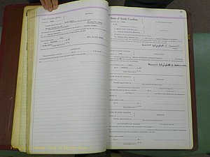 York Co, SC, Marriages, Before 1911 062.JPG