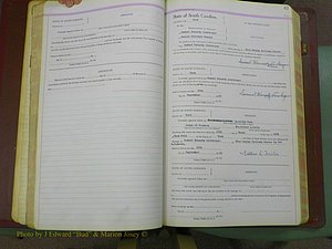 York Co, SC, Marriages, Before 1911 089.JPG