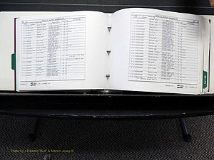 Alamance Co, NC, Births, L-Z, 1984-2004 (163).JPG