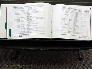 Alamance Co, NC, Births, L-Z, 1984-2004 (400).JPG