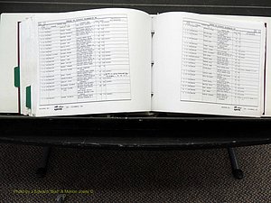 Alamance Co, NC, Births, L-Z, 1984-2004 (412).JPG