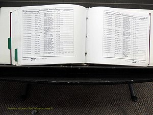 Alamance Co, NC, Births, L-Z, 1984-2004 (421).JPG
