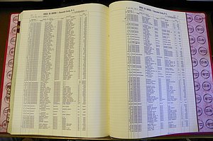 Bun. Co, NC, Births 1880 - 1988, C - D, pg (148).JPG