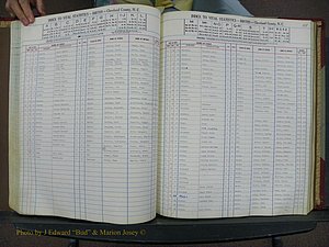 Cleveland Co, NC, Births, A-Z, 1946-1950 (114).JPG