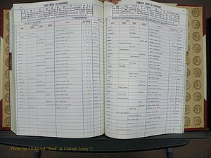 Cleveland Co, NC, Marriages, Male Index, Book 9, 1982+ (130).JPG