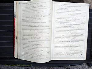 Dooly Co, GA, Marriages, Book, G, 1913-1930 pg 002-003.JPG