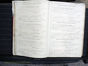 Dooly Co, GA, Marriages, Book, G, 1913-1930 pg 010-011.JPG