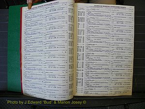 Edgecombe Marriages, A-E, 1867-1937 (117).JPG