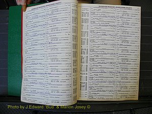 Edgecombe Marriages, A-E, 1867-1937 (120).JPG