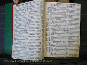 Edgecombe Marriages, A-E, 1867-1937 (121).JPG