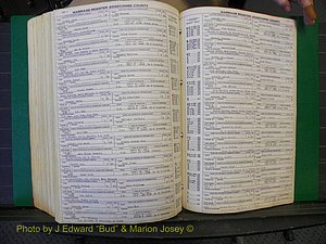 Edgecombe Marriages, P-Z, 1867-1937 (483).JPG