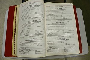 Emanuel Co, GA, Marriages Book L, 1952 - 1962, P 052-053.JPG