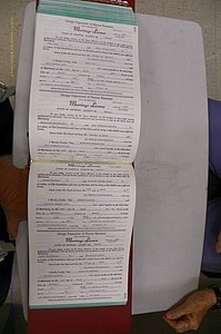 Emanuel Co, GA, Marriages Book Q, 1990 - 1998, P 608-609.JPG