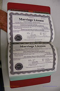 Emanuel Co, GA, Marriages Book S, 2003 - 2006, P 043-044.JPG
