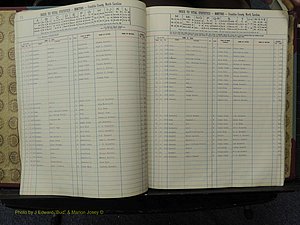 Franklin Co, NC,  Births, A-Z, 1913-1924 (126).JPG
