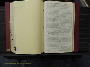Franklin Co, NC, Marriages, N-Z, 1869-1918 (288).JPG