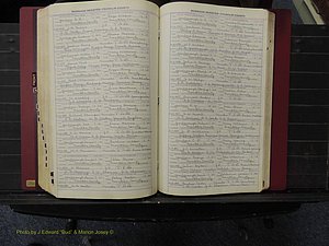 Franklin Co, NC, Marriages, N-Z, 1869-1918 (289).JPG