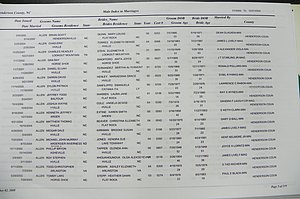 Henderson Co, NC, Marriages Male & Female, 2000 - 2004, (004).JPG