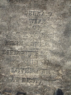 Young, Beuna Virginia Walters, Mount Plkeasant Cem, Jeff Davis Co, GA.jpg