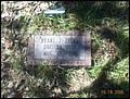 Zylks Pearl J, Pleasant Hope Cemetery, Cass Co, TX 019.jpg