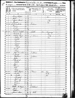 1850, Nancy Jossey Scrimshire, Upson Co GA.jpg