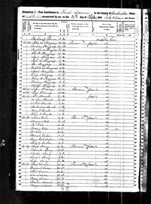 1850, Robert Sinkler Josey, Darlington Co SC.jpg