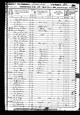 1850, William J Jossey, Pike Co GA.jpg