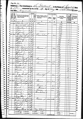 1860, Abigale Jossey Smith, Sumter Co SC.jpg