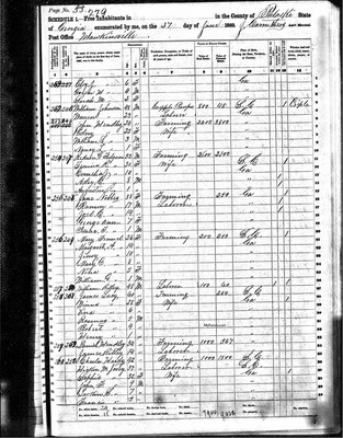 1860, Hickson Massey Josey, Pulaski Co GA part 1.jpg