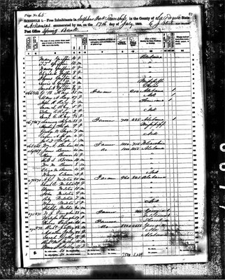 1860, Mary Josey Brown, Lafayette Co AR.jpg