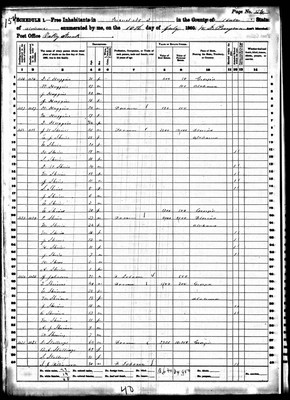 1860, Mary Josey Huggins, Butler Co AL.jpg