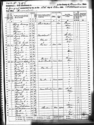 1860, Mary Jossey Ellis, Meriwether Co GA.jpg