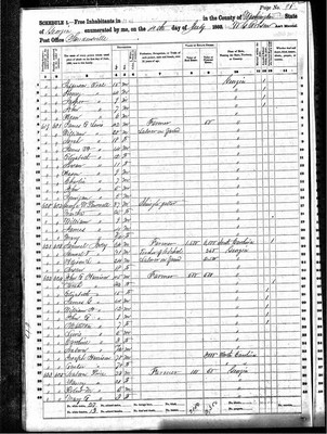 1860, Samuel Thomas Josey Washington Co GA.jpg