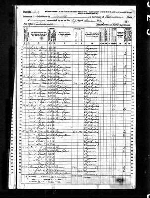 1870, Anna Josey Newman, Natchitoches Parish LA.jpg