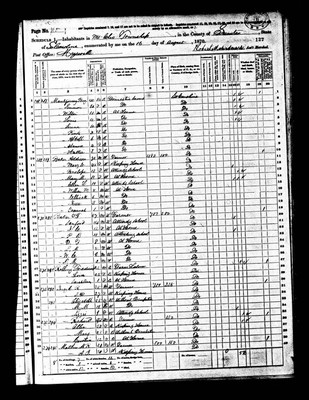 1870, Elijah Robert Josey, Sumter Co SC.jpg