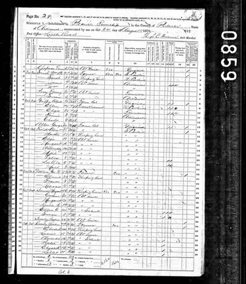 1870, Elizabeth Josey Beasley, Pulaski Co AR.jpg